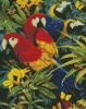 Diamond Mosaic - Colorful parrots 