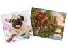 Sets of paintings - "The house is a dream" & "Favorite pug"